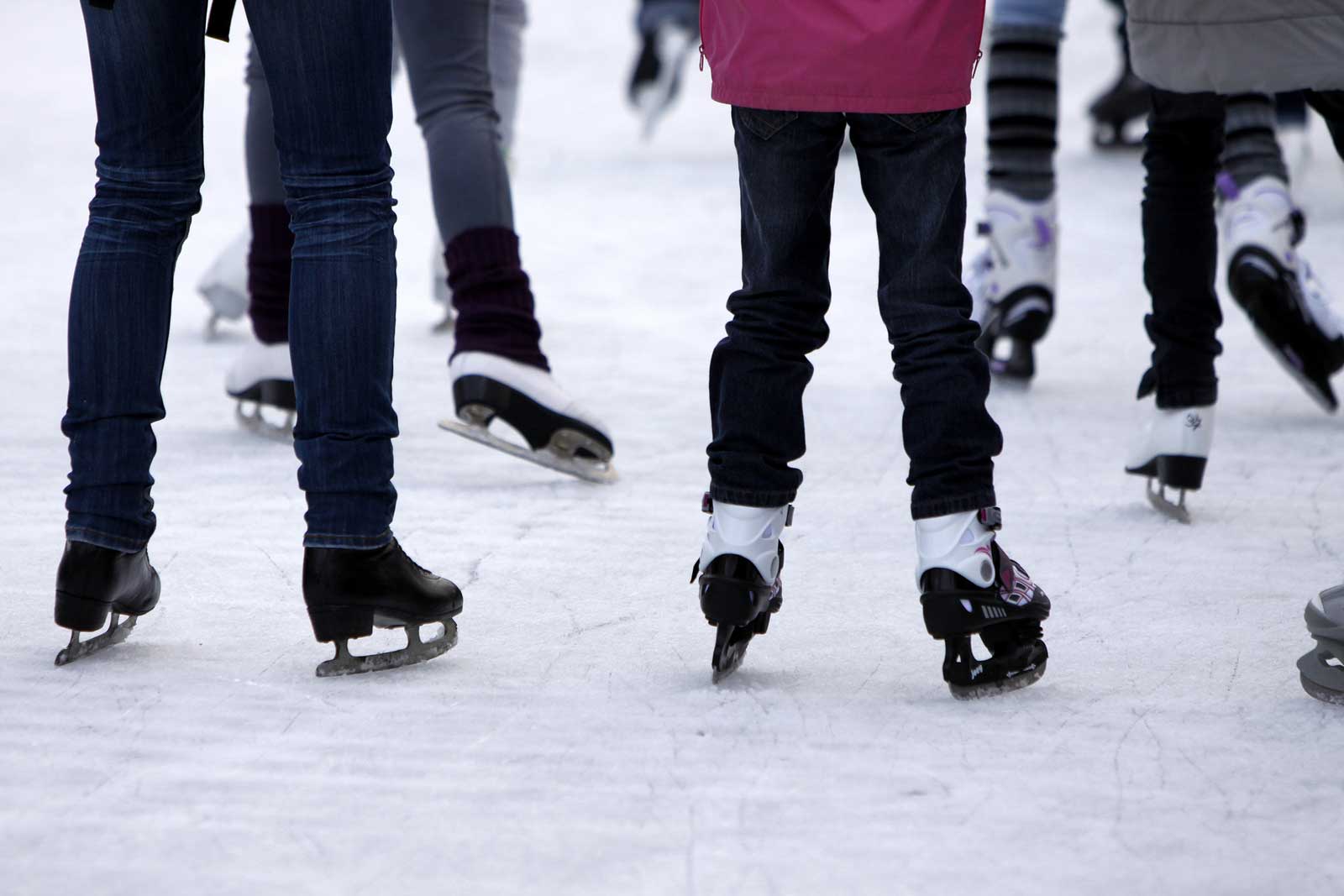 Public Skating Picture